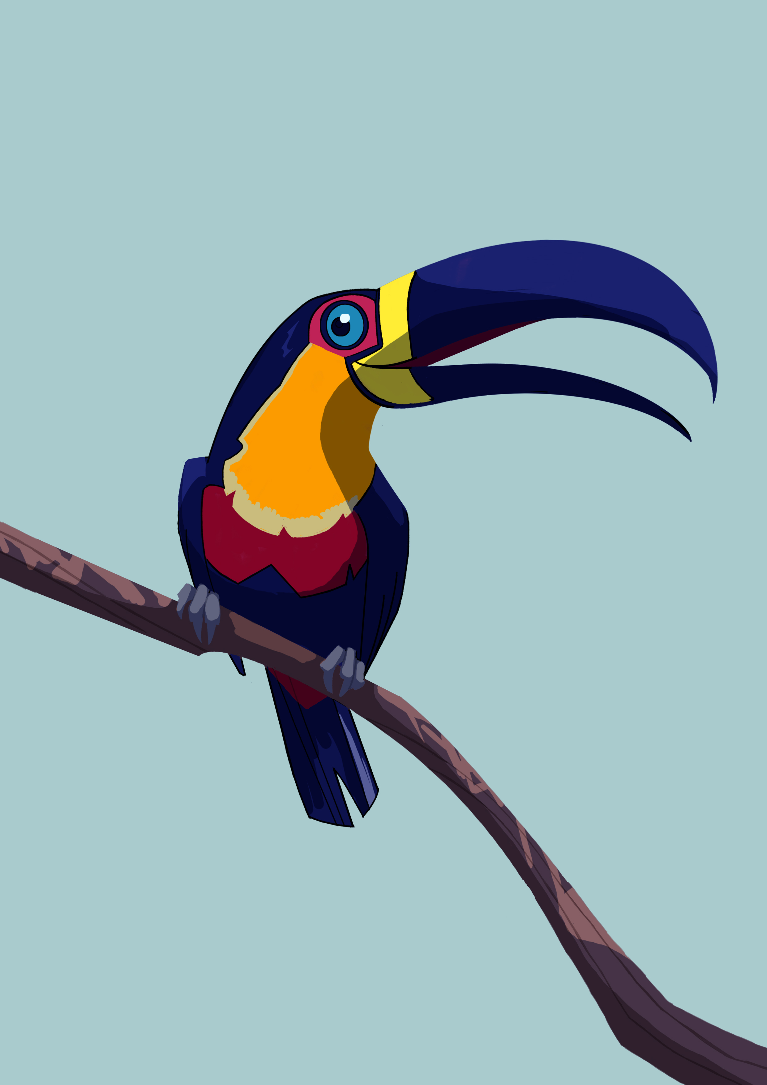 TUCANO 001 A