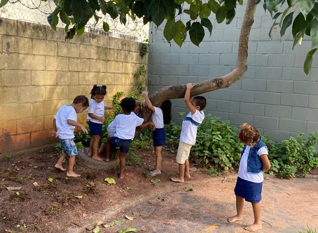 Foto. Crianças pequenas tentam subir em uma árvore.