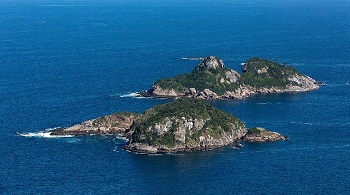Ilha tijucas diegobaravelli wiki