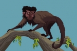 Macaco-prego (Cebus apella)
